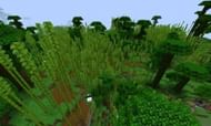 Image via minecraft-seeds.net
